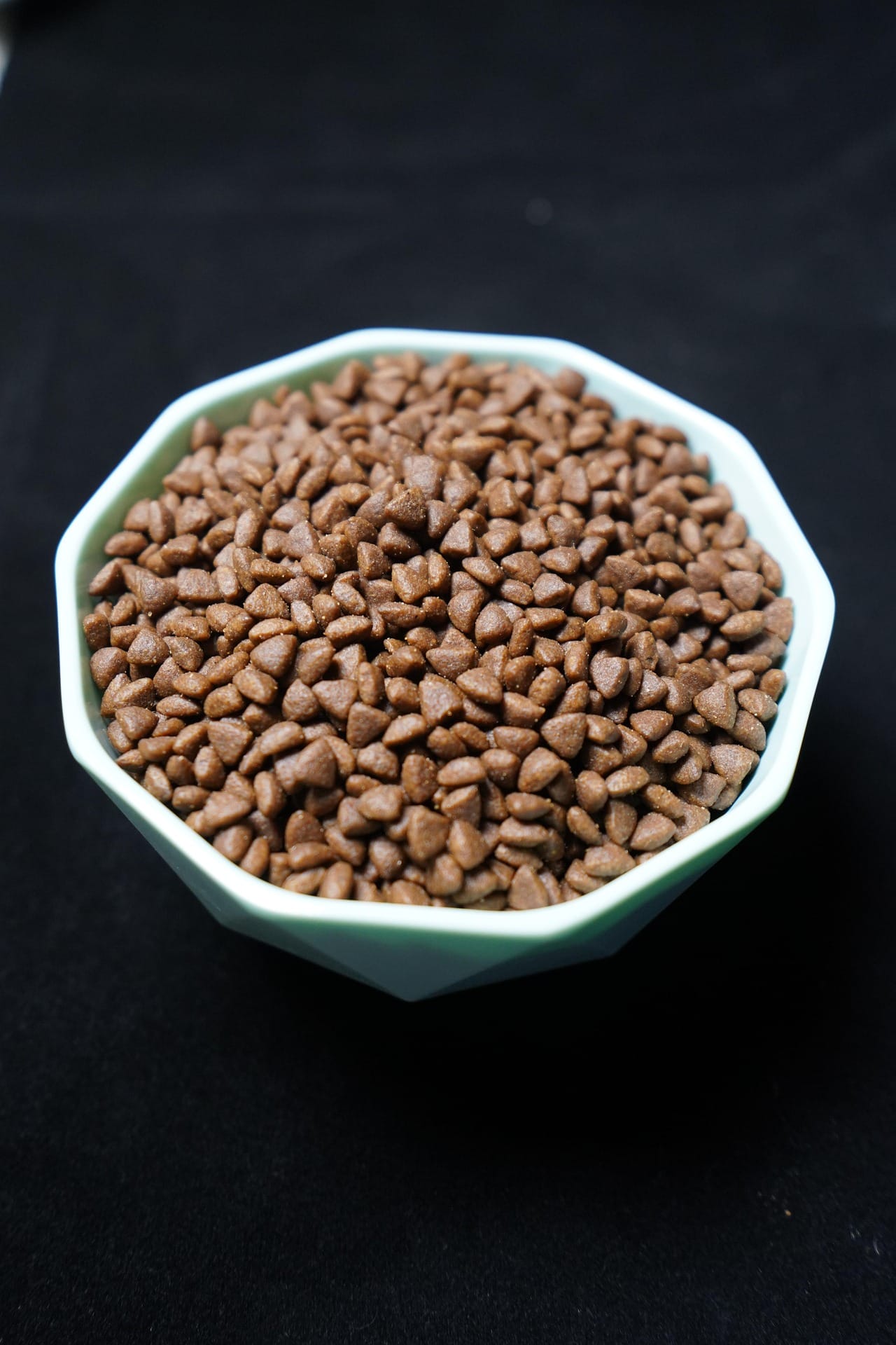  Aktion "Winterfutter"